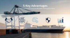     5 مميزات في اختيار شركة تجارة وتوزيع بالجملة ومجربة 